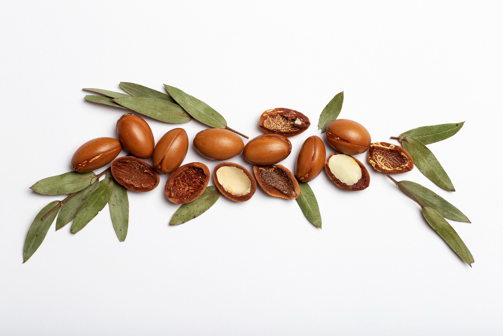 Fatima's Garden argan-seeds-isolated-white-background-argan-oil-nuts-with-plant-cosmetics-natural-oils-back
