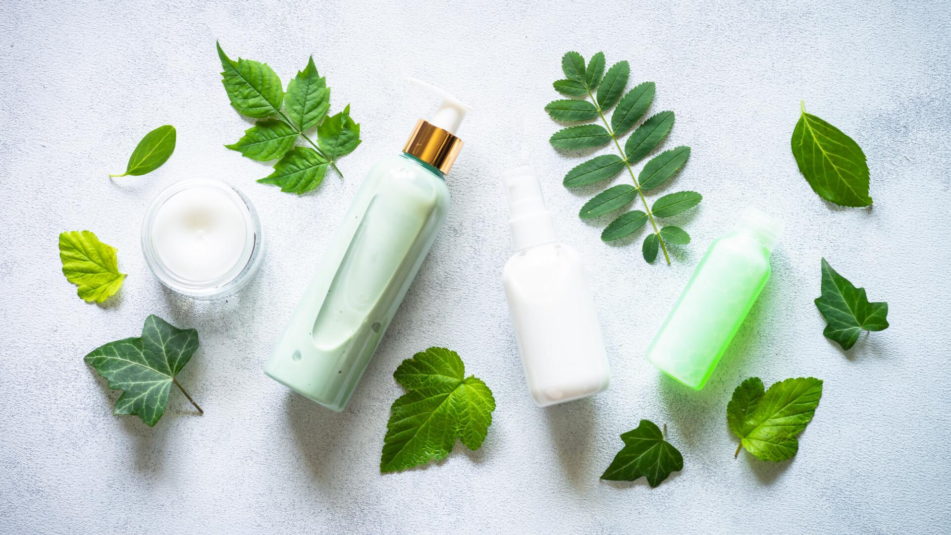 Navigating the Beauty Landscape with Fatima's Garden