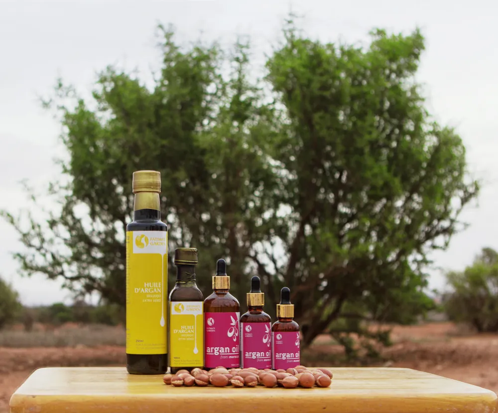 Argan oil bottles on a table, with argan nuts and an argan tree behind